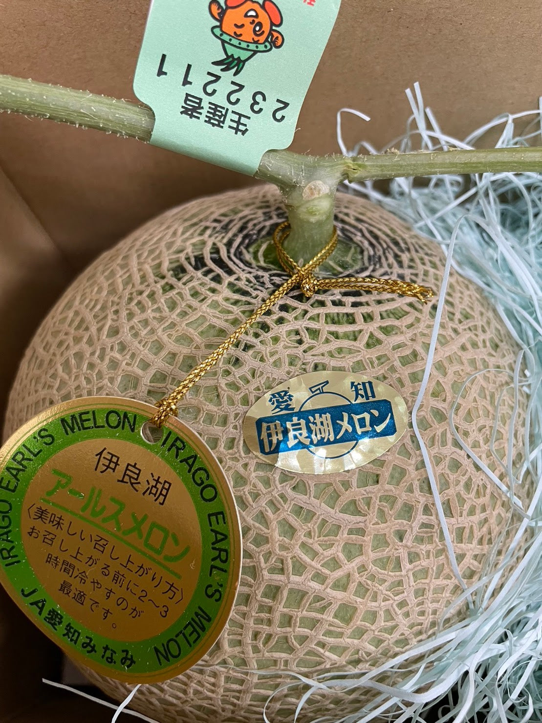 アールスメロン【高知・愛媛産】