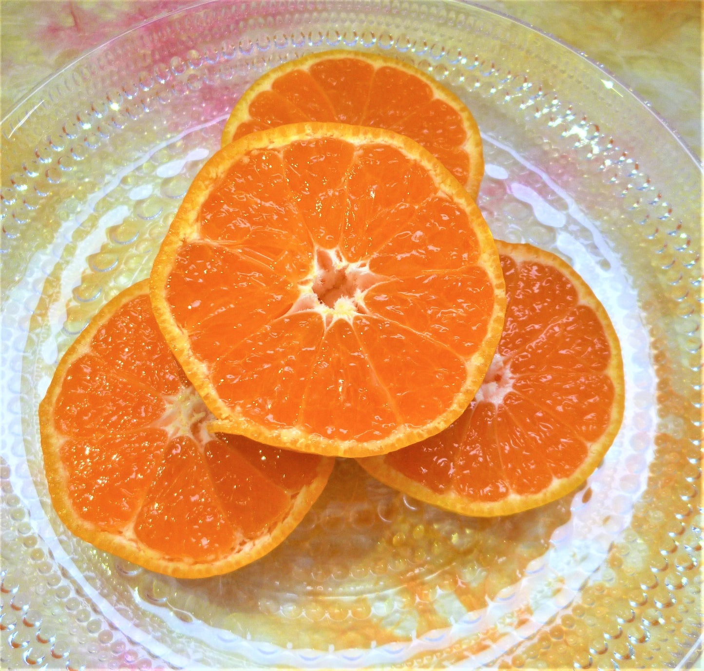 ハウスみかん【愛媛産】