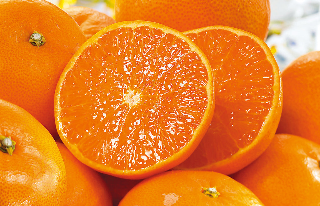 冬のお届け物ご用意しました！