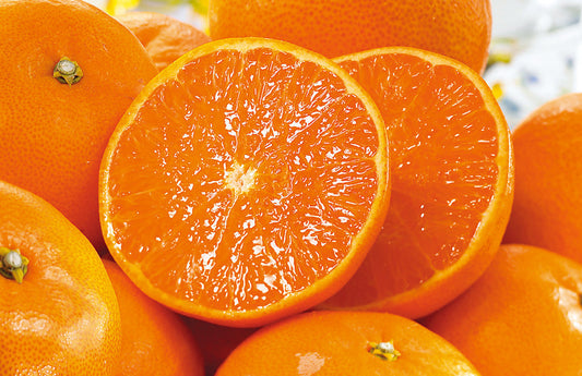 冬のお届け物ご用意しました！